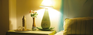 Riad al Zahia